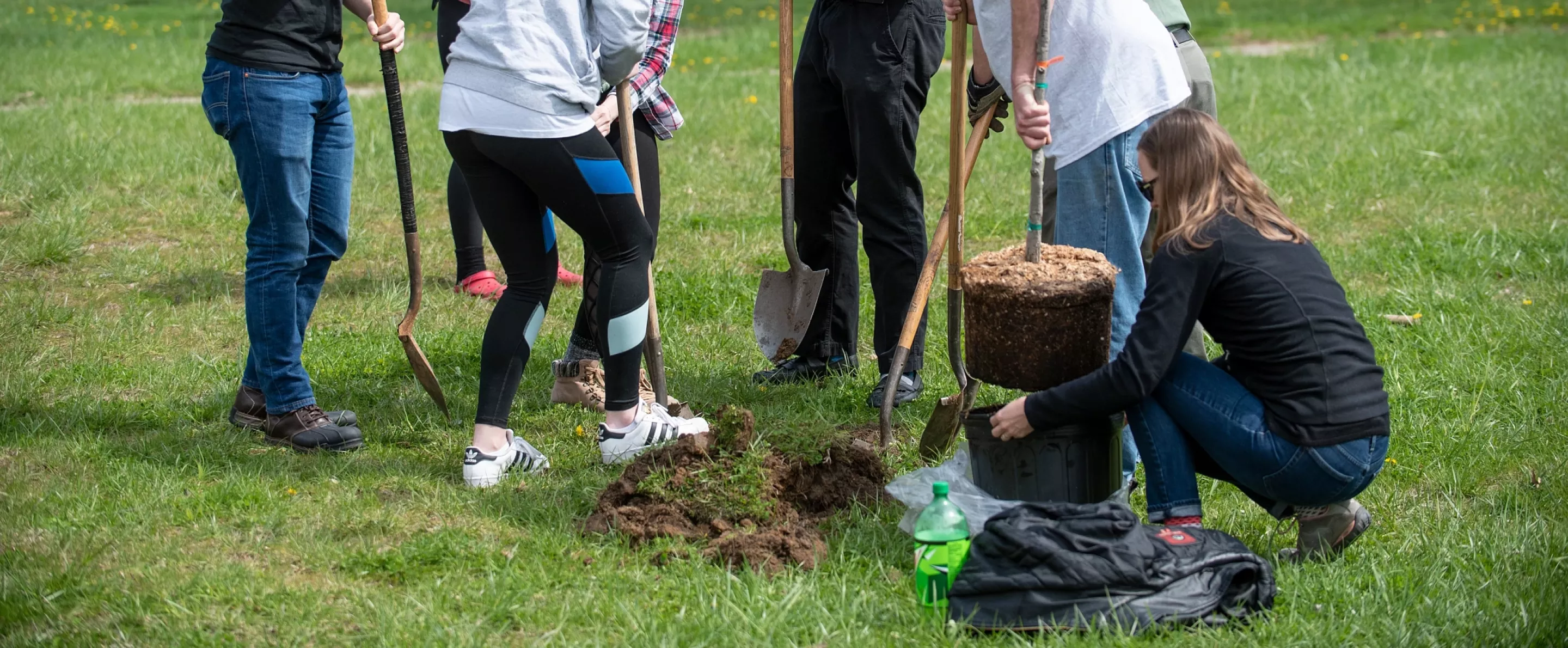 Students plant trees on Arbor Day