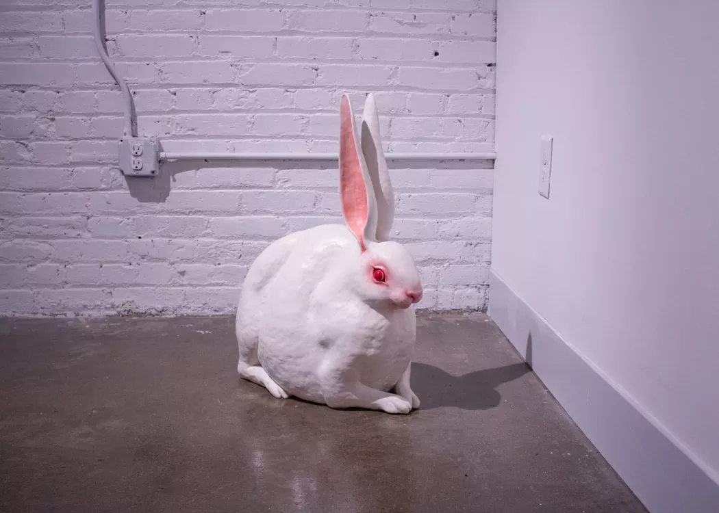 Art Exhibition Image