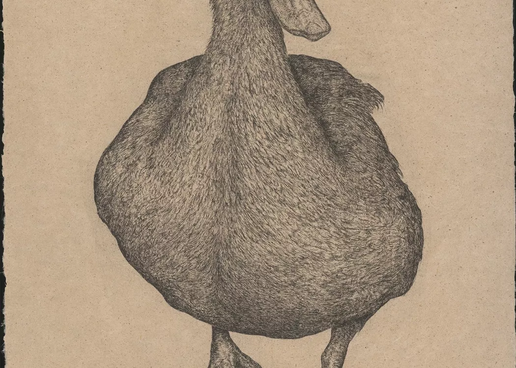 Art Exhibition Image
