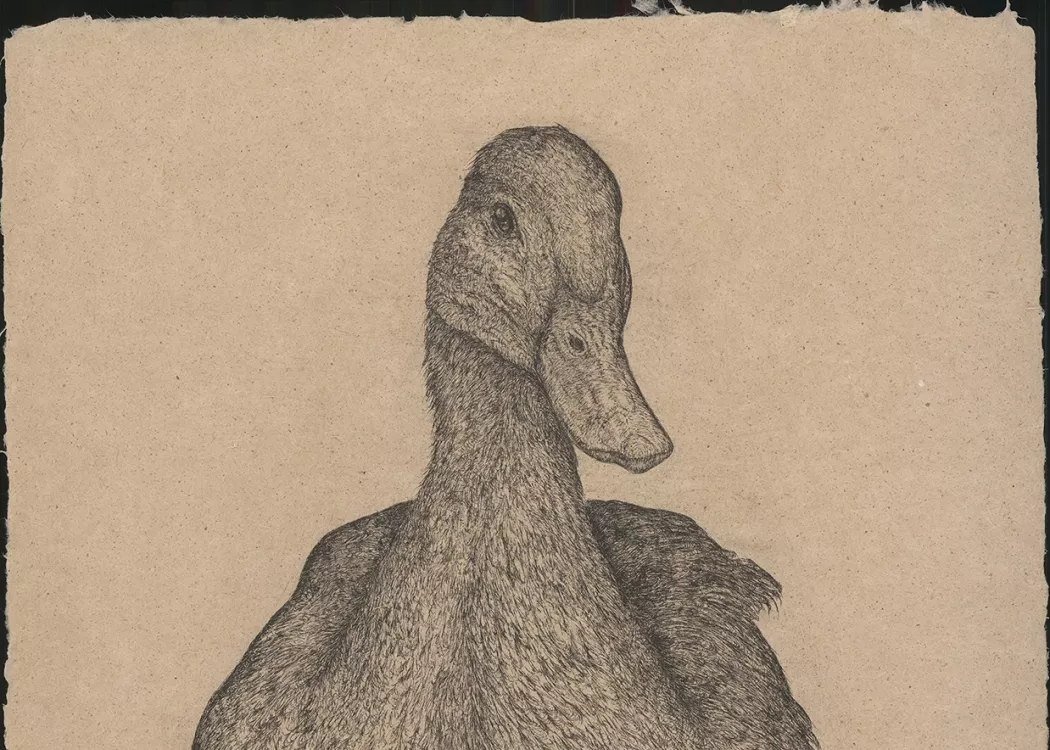 Grayscale Etching of a duck on handmade paper
