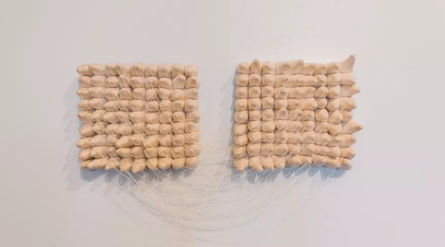 Art Exhibition Image