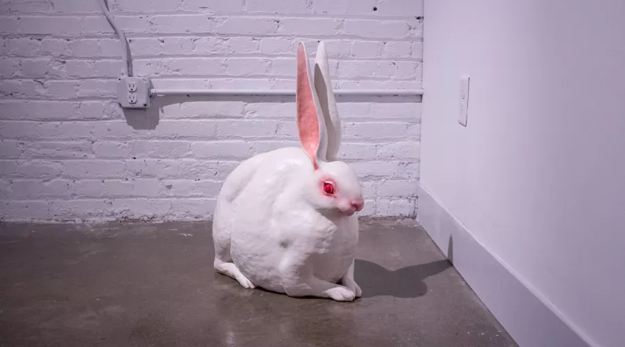 Art Exhibition Image
