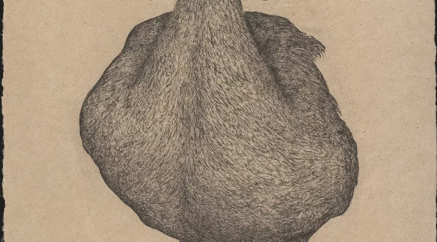 Art Exhibition Image