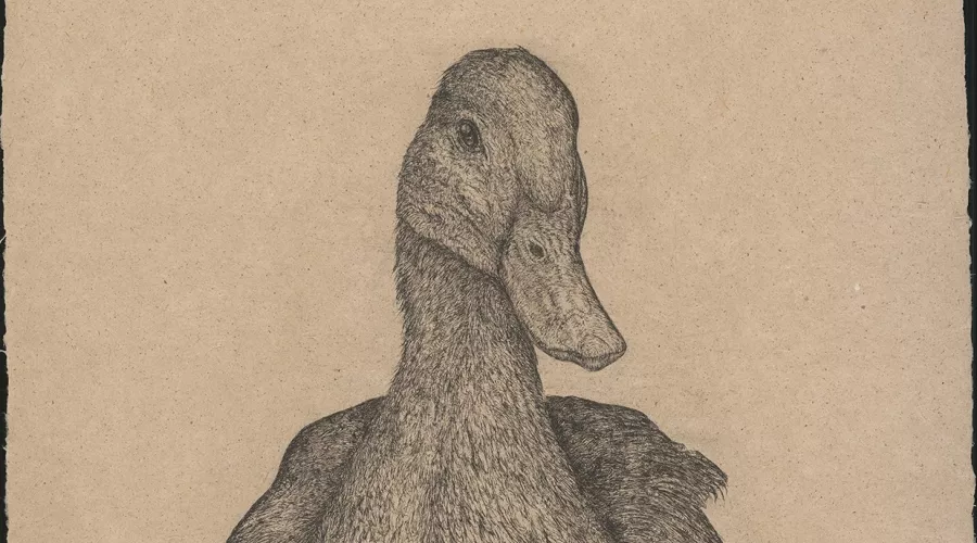 Art Exhibition Image